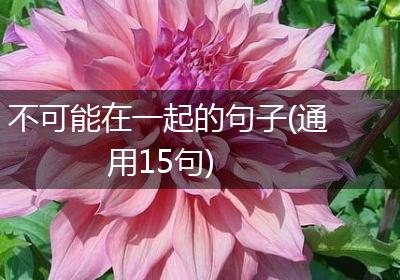 不可能在一起的句子(通用15句)