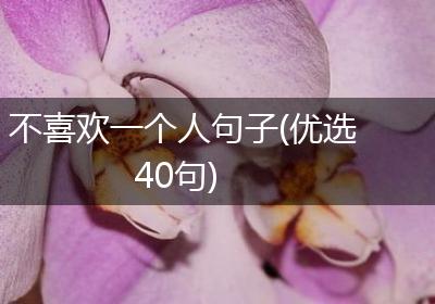 不喜欢一个人句子(优选40句)