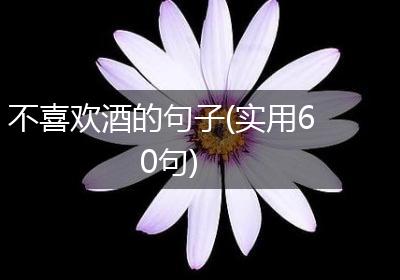 不喜欢酒的句子(实用60句)