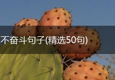 不奋斗句子(精选50句)