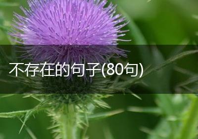 不存在的句子(80句)