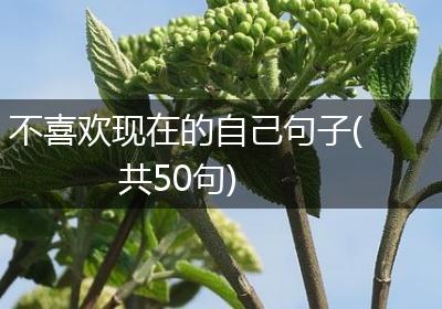 不喜欢现在的自己句子(共50句)