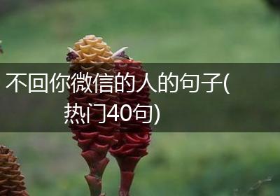 不回你微信的人的句子(热门40句)