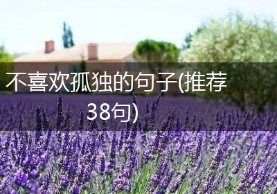 不喜欢孤独的句子(推荐38句)