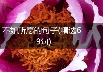 不如所愿的句子(精选69句)