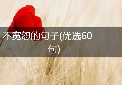 不宽恕的句子(优选60句)