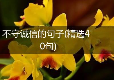 不守诚信的句子(精选40句)