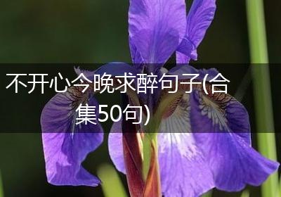 不开心今晚求醉句子(合集50句)