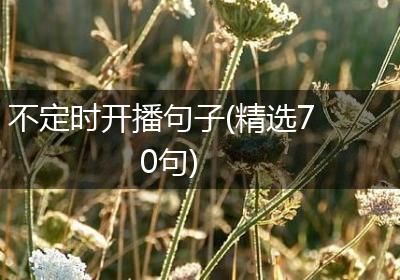不定时开播句子(精选70句)