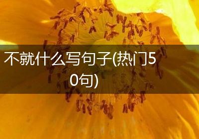 不就什么写句子(热门50句)