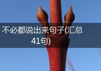 不必都说出来句子(汇总41句)