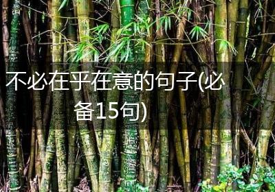 不必在乎在意的句子(必备15句)