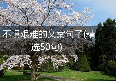 不惧艰难的文案句子(精选50句)