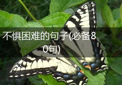 不惧困难的句子(必备80句)