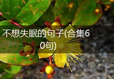 不想失眠的句子(合集60句)