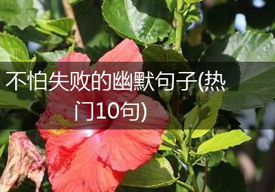 不怕失败的幽默句子(热门10句)