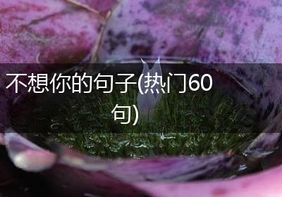 不想你的句子(热门60句)