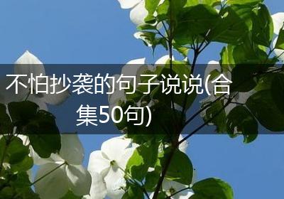 不怕抄袭的句子说说(合集50句)