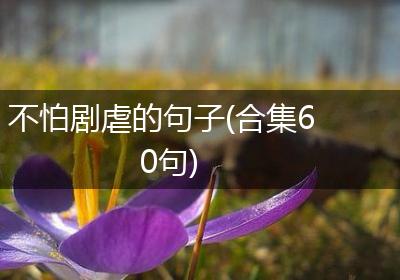 不怕剧虐的句子(合集60句)