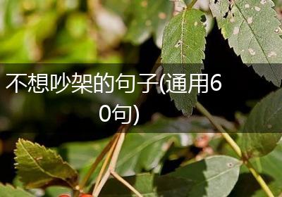 不想吵架的句子(通用60句)