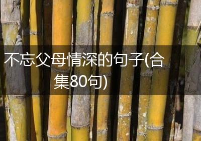 不忘父母情深的句子(合集80句)