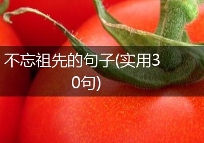 不忘祖先的句子(实用30句)