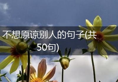 不想原谅别人的句子(共50句)