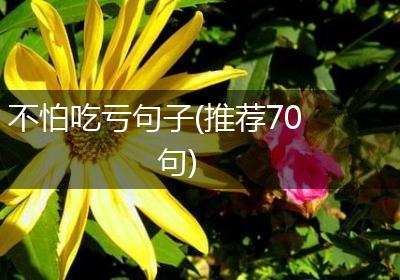 不怕吃亏句子(推荐70句)