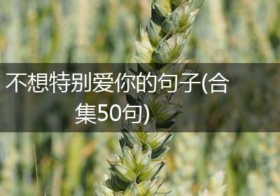 不想特别爱你的句子(合集50句)