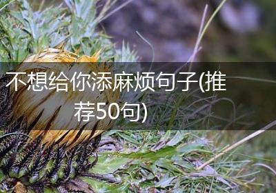 不想给你添麻烦句子(推荐50句)
