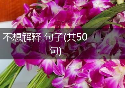 不想解释 句子(共50句)