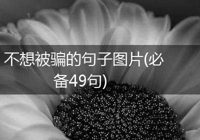 不想被骗的句子图片(必备49句)