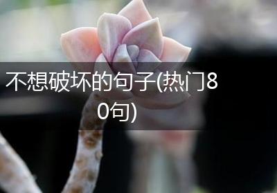 不想破坏的句子(热门80句)