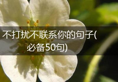 不打扰不联系你的句子(必备50句)