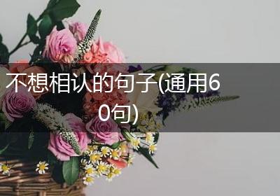 不想相认的句子(通用60句)