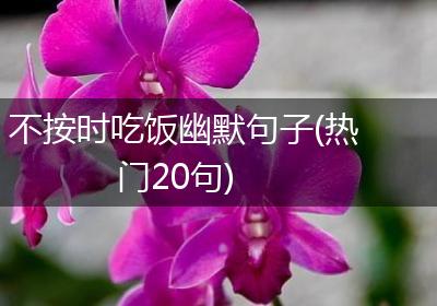 不按时吃饭幽默句子(热门20句)