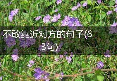 不敢靠近对方的句子(63句)