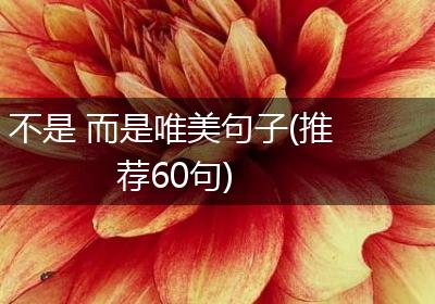不是 而是唯美句子(推荐60句)