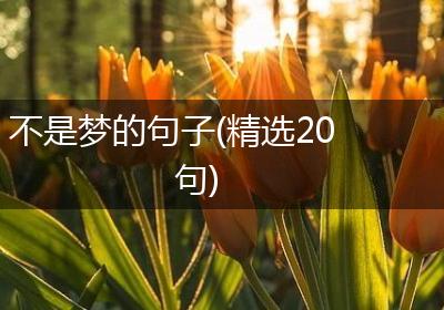 不是梦的句子(精选20句)