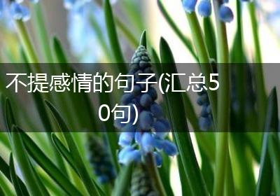 不提感情的句子(汇总50句)