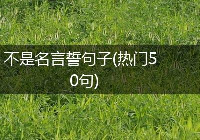 不是名言誓句子(热门50句)