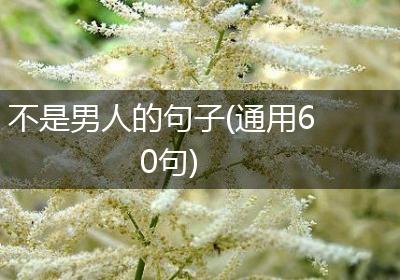 不是男人的句子(通用60句)