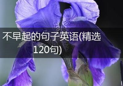 不早起的句子英语(精选120句)