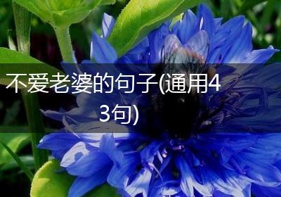 不爱老婆的句子(通用43句)