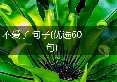 不爱了 句子(优选60句)