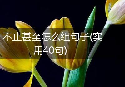 不止甚至怎么组句子(实用40句)
