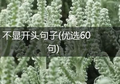 不显开头句子(优选60句)