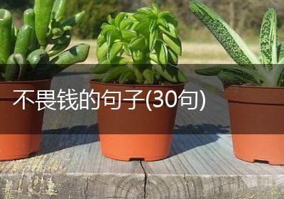 不畏钱的句子(30句)