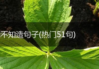 不知造句子(热门51句)