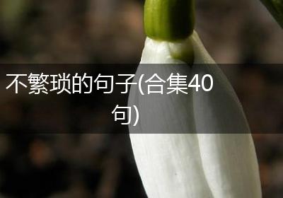 不繁琐的句子(合集40句)